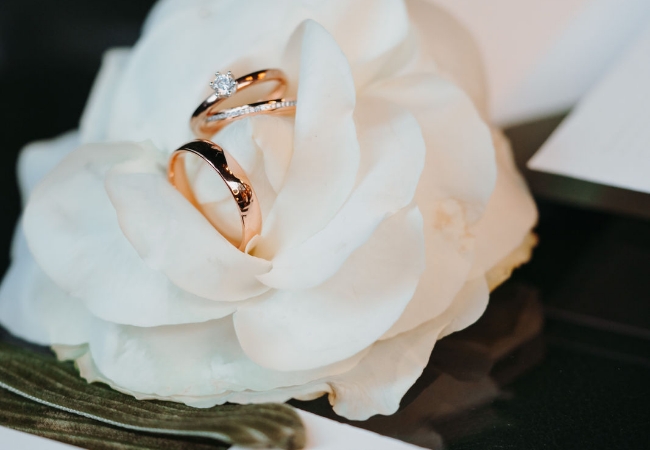 Nahaufname von Ringen beim Heiraten im Waldkater
